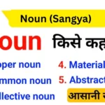 Gujarati Grammar Noun (Sangya)